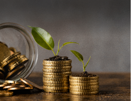 Access to Finance & Investment Capital